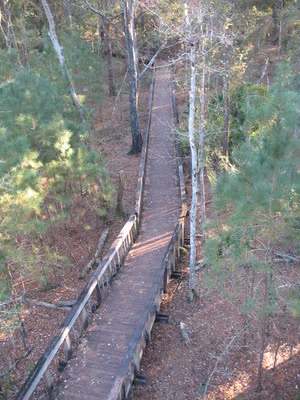 Tillie K. Fowler Regional Park photo 2